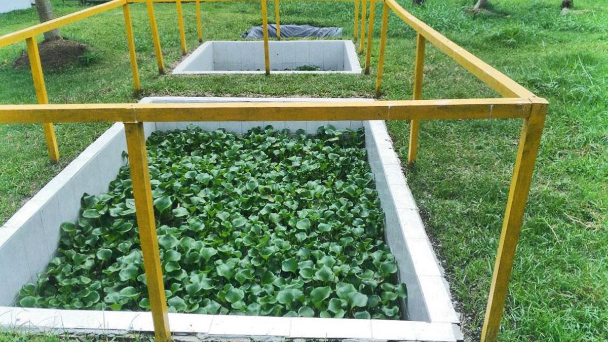 PETROPERÚ mejora áreas verdes y genera eficiencias en gestión de residuos sólidos orgánicos en Iquitos