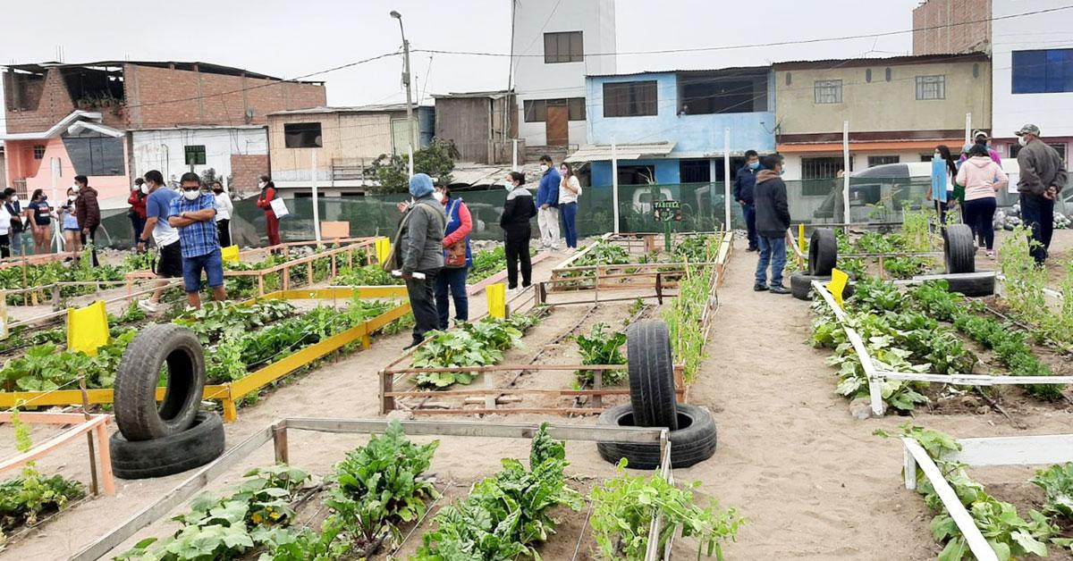 Implementamos biohuertos urbanos cerca de Refinería Conchán