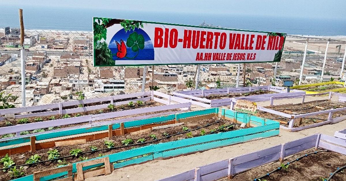 Programa de biohuertos de PETROPERÚ promueve el sembrío de alimentos ecológicos