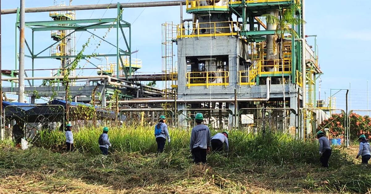 Pobladores de comunidades participan en labores de desbroce de Refinería Iquitos