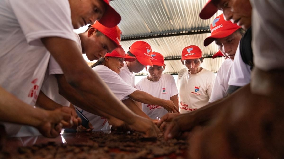 Petroperú obtiene reconocimiento por proyecto sostenible de cacao en la Amazonía
