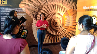 Piuranos disfrutan de exposición “Fósil” en Casa Museo Miguel Grau