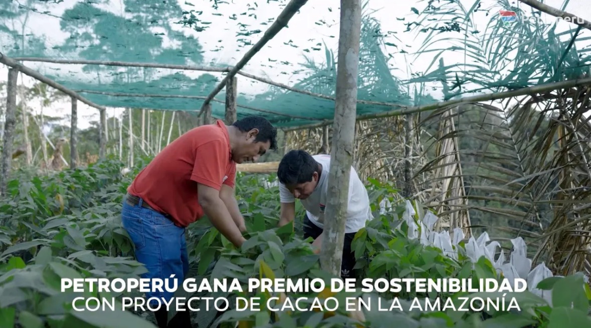 Petroperú gana primer puesto de premio de Sostenibilidad con proyecto de cacao en la Amazonía