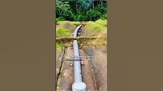 ¿Sabías que el Oleoducto Norperuano cuenta con monitoreos ambientales constantes?